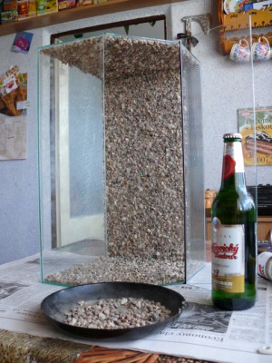 P1000782.JPG