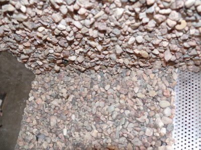 P1000773.JPG