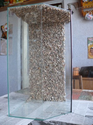 P1000772.JPG