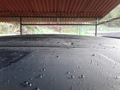 20120420_062327.jpg