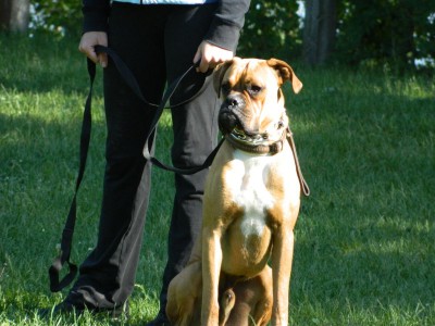 DSCN8433.jpg