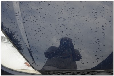 TestGiwaxu0004.jpg (37.7 KiB) Zobrazeno 1702 x Purple Haze