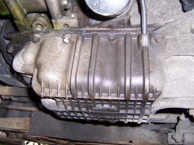 100_9513.JPG