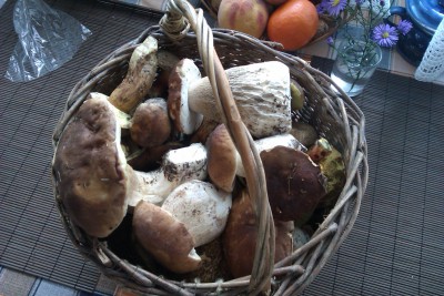 IMAG0208.jpg
