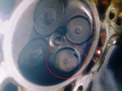jj2114.jpg