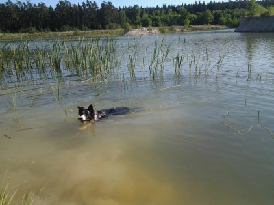 2012-05-19 17.13.20.jpg