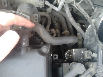 takto som si ju vsimol