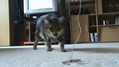 max_3.jpg (54.88 KiB) Zobrazeno 4884 x rozzuřenej...