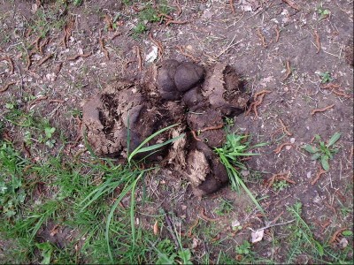 P1070072.JPG (169.52 KiB) Zobrazeno 934 x lejno