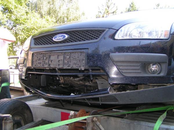 FoFo+pes na dialnici2.jpg