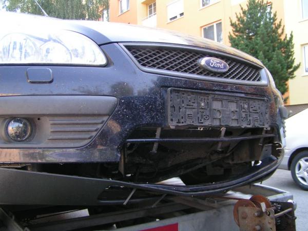 FoFo+pes na dialnici1.jpg