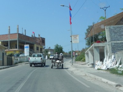oslik2.JPG