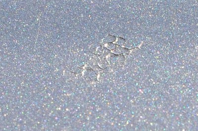 dalsie miesto na streche kde sa lak poddal plodu stromu