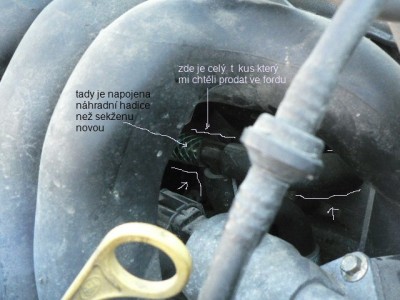 T kus detailní záběr.jpg