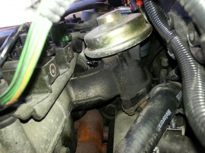 20131204_101452_resized.jpg