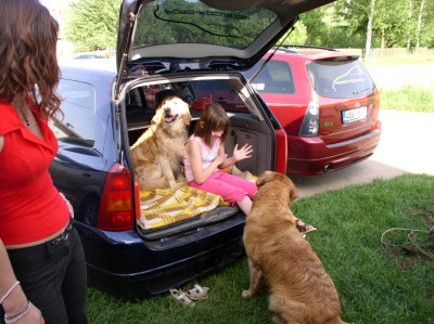 Nebuť labuť a vylez ven........