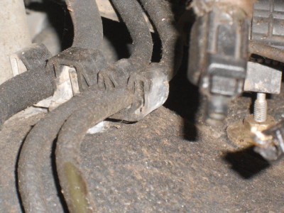 DSCN0716.JPG