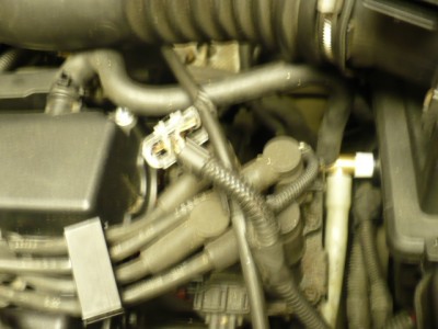 fokus 002.jpg