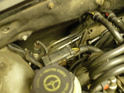 fokus 004.jpg