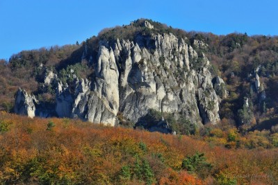 IMG_2848.jpg