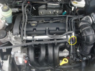 f.focus_1.6_aut_04_motor_1.jpg