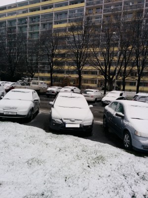 2015-03-31 08.50.35.jpg