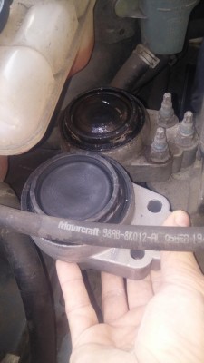 2015-11-05 14.46.56.jpg