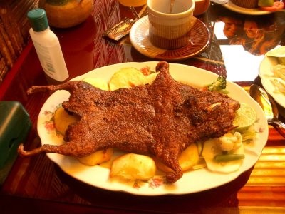 034_guinea_pig[1].jpg