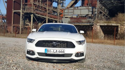 V6_MUSTAN6.JPG