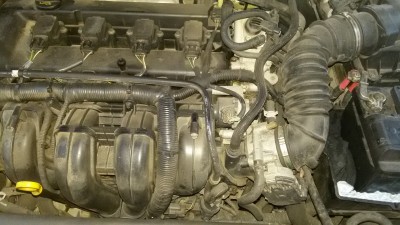 20170119_163039 (Custom).jpg