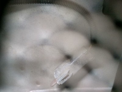 IMG_20170304_170320_HDR.jpg (104.62 KiB) Zobrazeno 6397 x konektor pod oknem