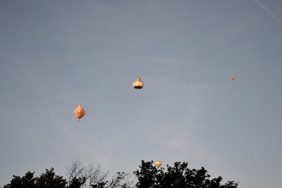 DSC_1988.JPG