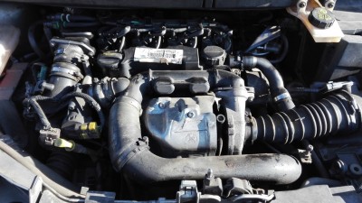 IMG_20170619_185619.jpg