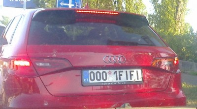 rz_0001fifi.jpg