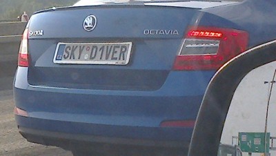 rz_skyd1ver.jpg
