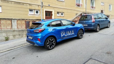 Puma03.jpg