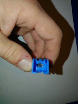 IMG_20201125_175017.jpg