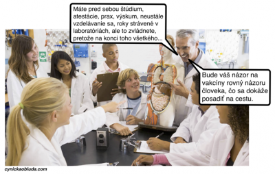 doktori.png