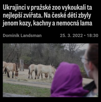 zoo.jpg