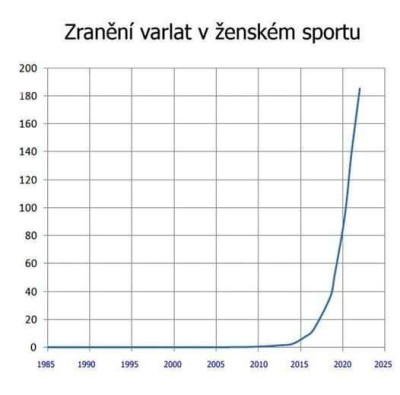 Zraneni.jpg