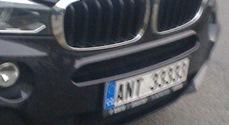 rz_ant33333.jpg