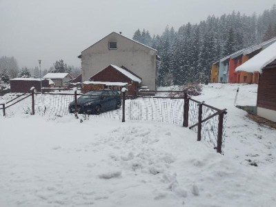 ladovska zima bila.jpg