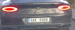 rz_9ak8888.jpg