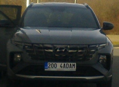 rz_2004adam.jpg