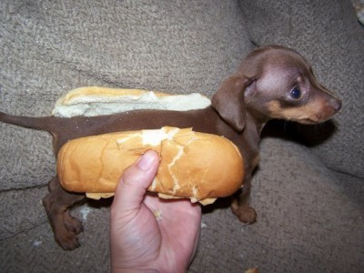 t_hot_dog_995.jpg