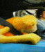 avatar45646_1.gif