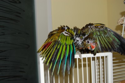 DSC_4774.jpg