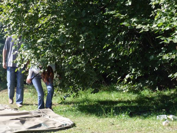 Taspy pokorně přicházi pro verdikt o srazu.