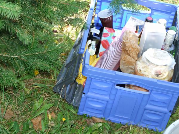 výsledek taneční kreace Skubiho (mimo zlití diváků)