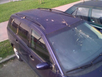 08042009011.jpg